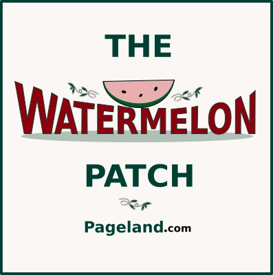 watermelon patch